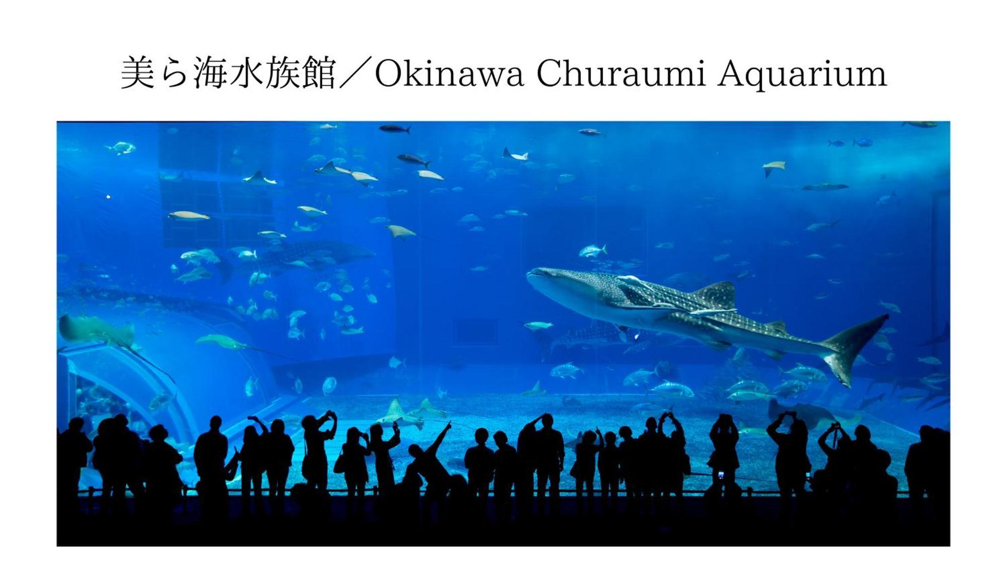 Aqua Shallows Onna Eksteriør bilde